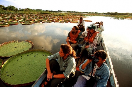 Karanambu Loge: Observation des oiseaux entre les nénuphars d'amazonie