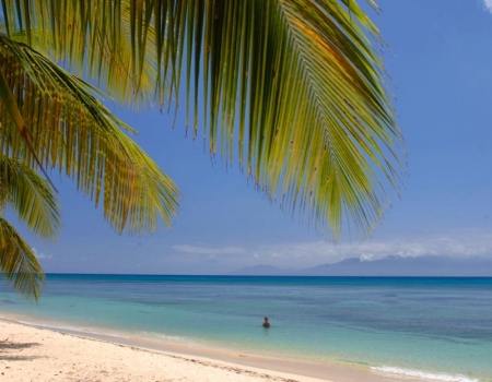Palmiers, Plage et mer devant l'hôtel