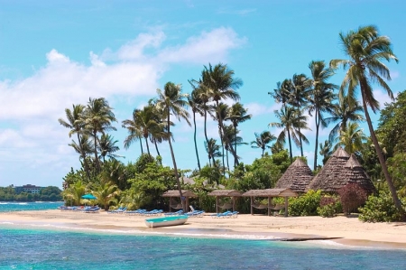 Young Island Resort, St. Vincent: La plage