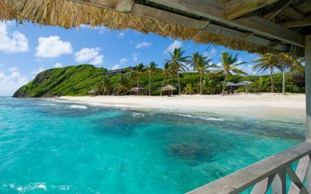 La plage sous les palmiers