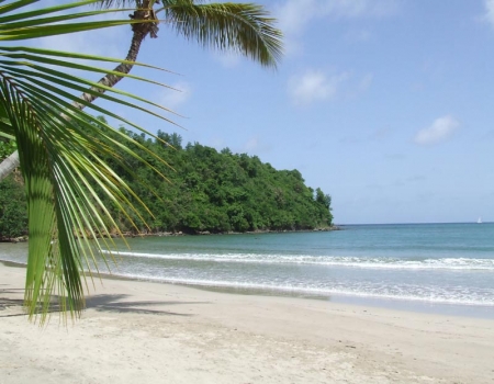 Une idylle tropicale au bord de la plage