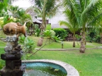 Le jardin du Tainos Cottages