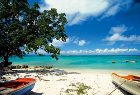 Plage de Vieux Fort à Marie-Galante