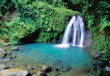 Basse Terre: Cascade aux écrevisses