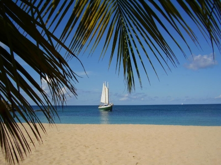 Cap sur une plage paradisiaque dans les Grenadines