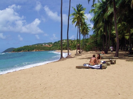 Martinique: Plage sur la presqu'île la Caravelle